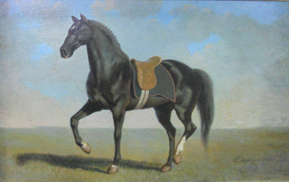 El Doctor (nombre de un caballo), 1863