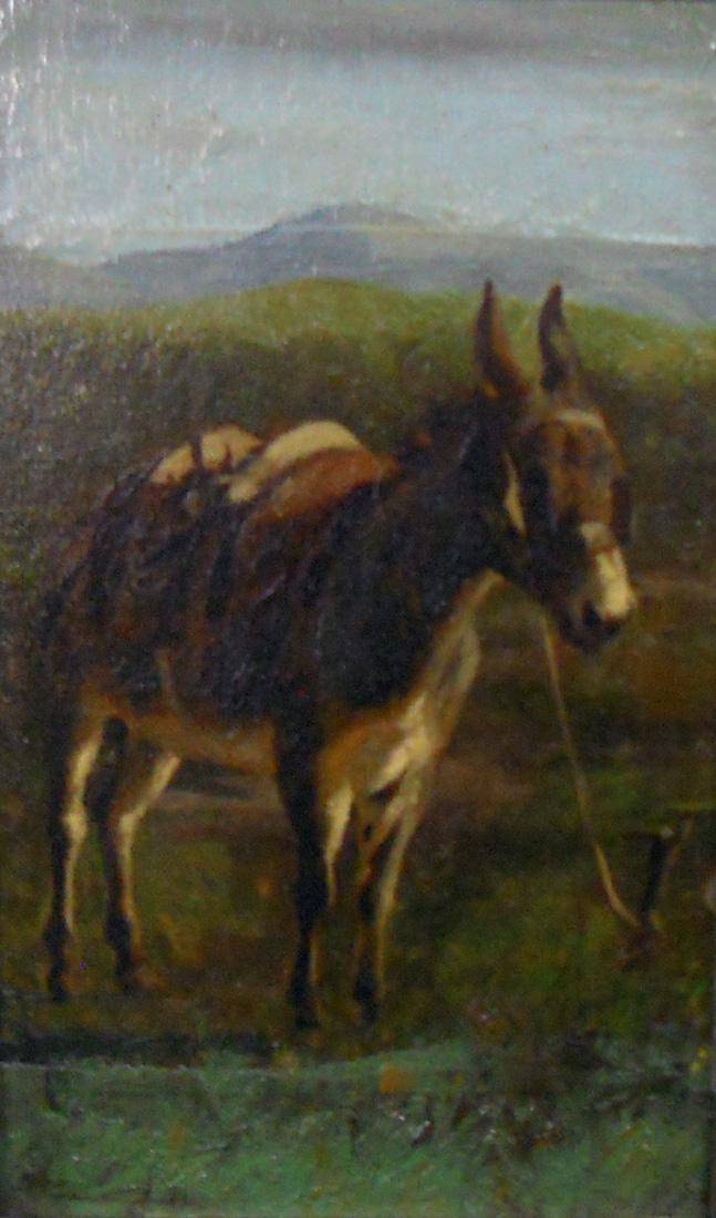 Borrico de los Andes, c.1873