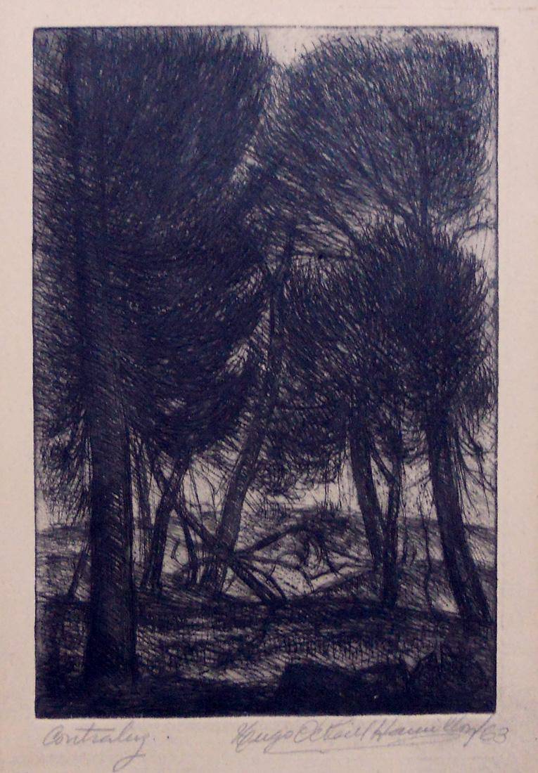 Acacias, 1963. Hugo O'Neill Hamilton (1921-2000). Aguafuerte.  18 x 12 cm. Nº inv. 2173.