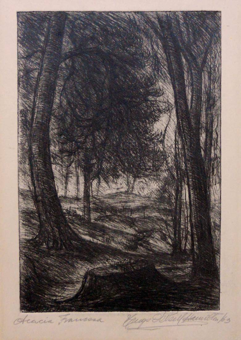 Acacias, 1963. Hugo O'Neill Hamilton (1921-2000). Aguafuerte.  18 x 12 cm. Nº inv. 2173.5.
