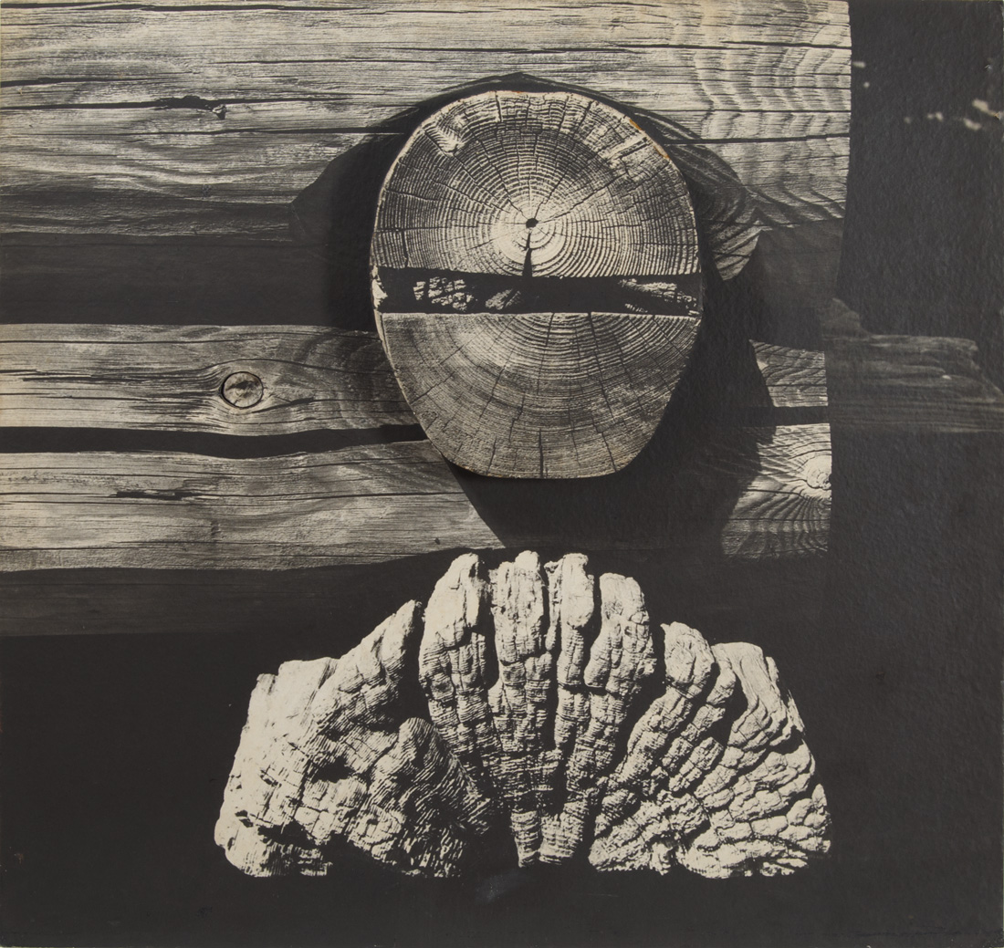 Muro vikingo, 1959. Alfredo Testoni (1919-2003). Fotografía.  102 x 106,5 cm. Nº inv. 3556.
