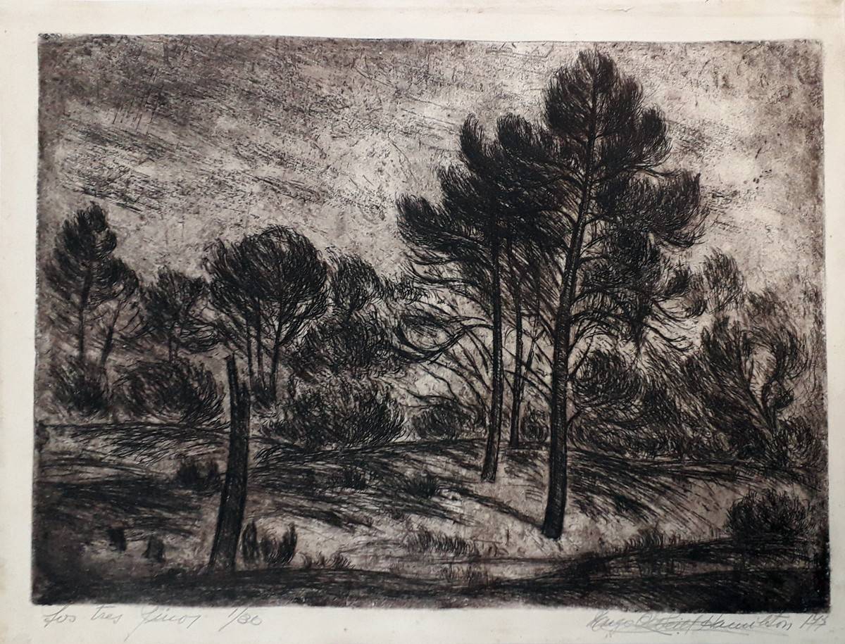 Los tres pinos, 1977. Hugo O'Neill Hamilton (1921-2000). Aguafuerte.  35,5 x 50 cm. Nº inv. 3938.