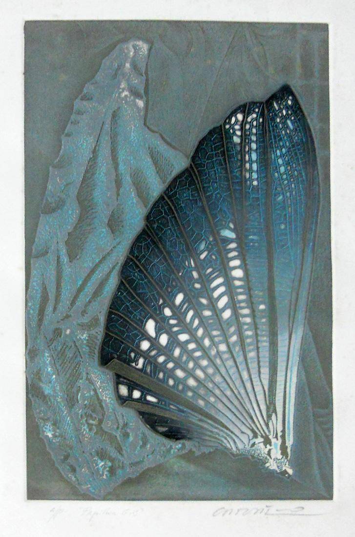 Papillón gris, c.1978. Rimer Cardillo (1944). Grabado.  67 x 98 cm. Nº inv. 4091.