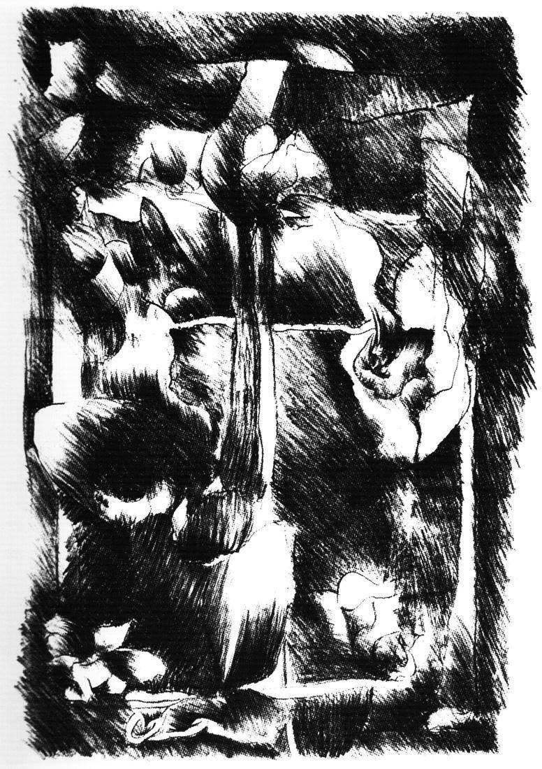 La forma deforme, 2010. Luis López Loza (1939). Aguafuerte sobre papel.  39 x 26,7 cm. Nº inv. 5152.