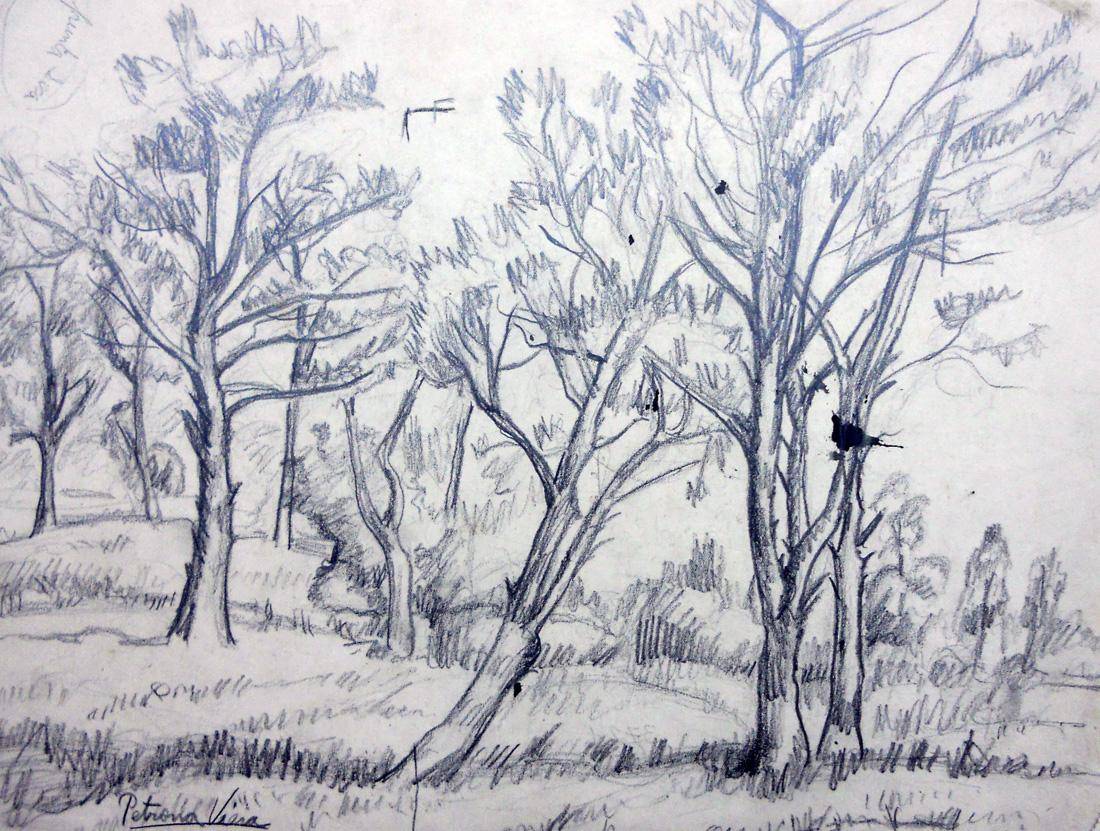Campo y árboles, 1948