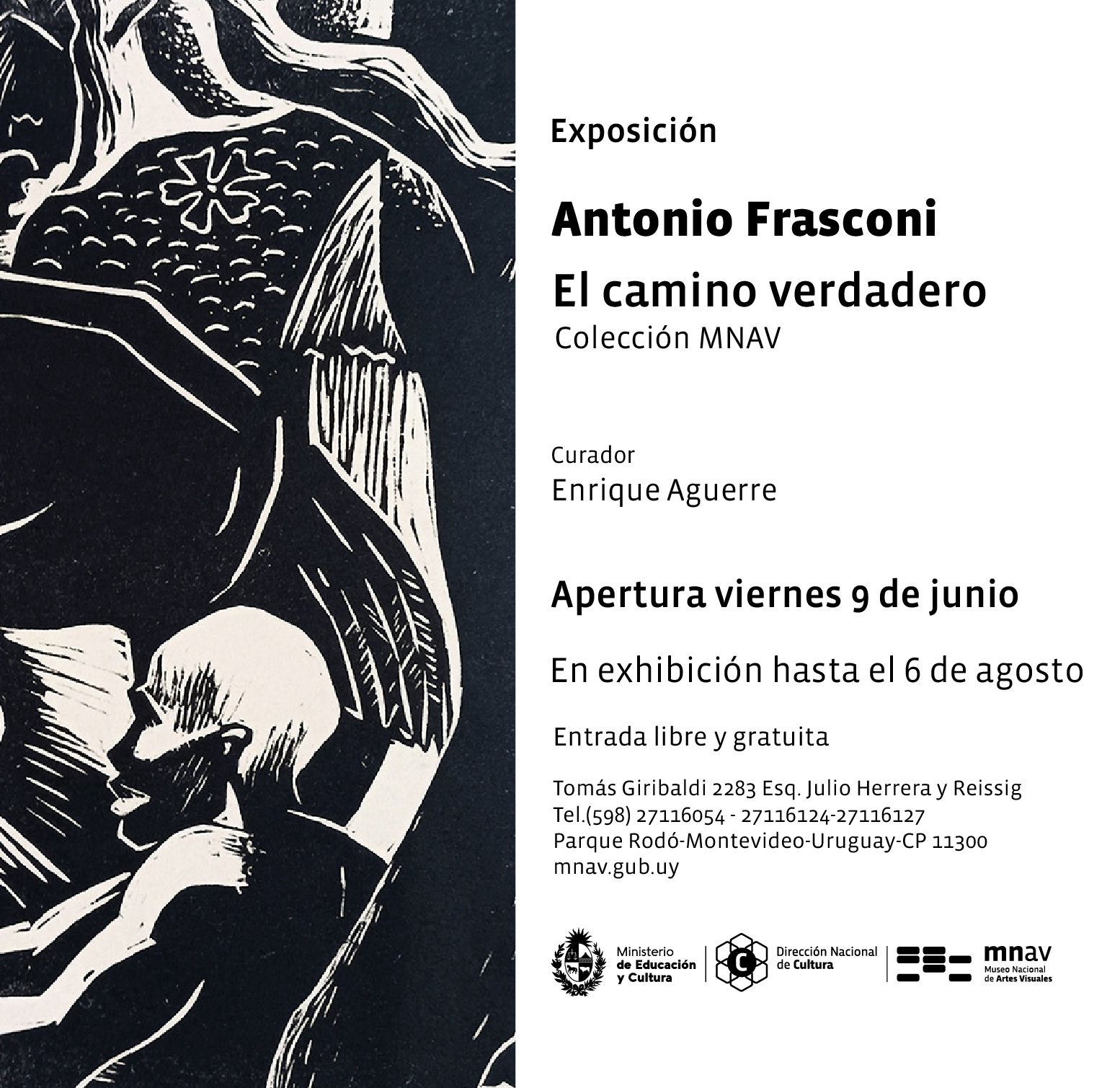 Invitacin - Museo Nacional de Artes Visuales