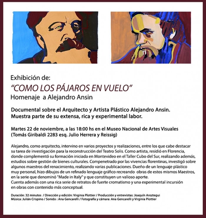  - Exhibición del documental "Como los pájaros en vuelo" - Museo Nacional de Artes Visuales