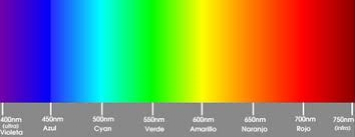  - Curso: LUZ y COLOR - Museo Nacional de Artes Visuales