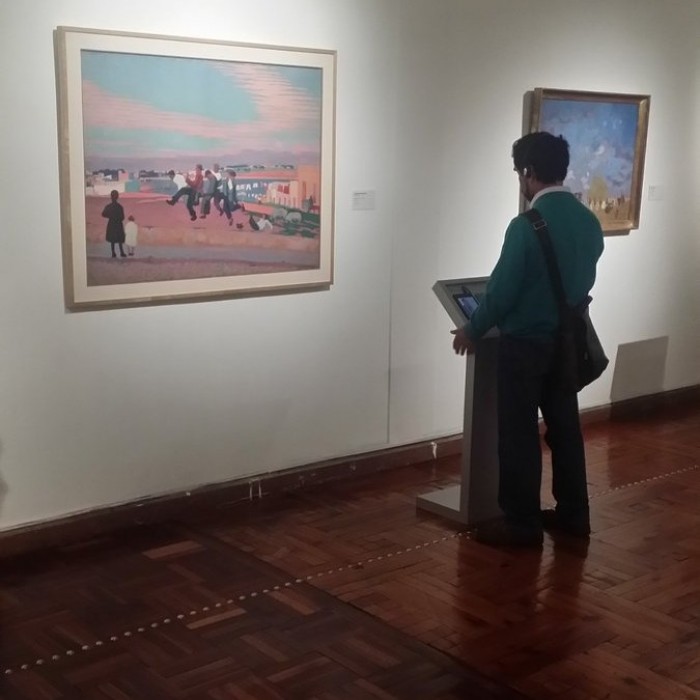  - Museo Amigo - Museo Nacional de Artes Visuales