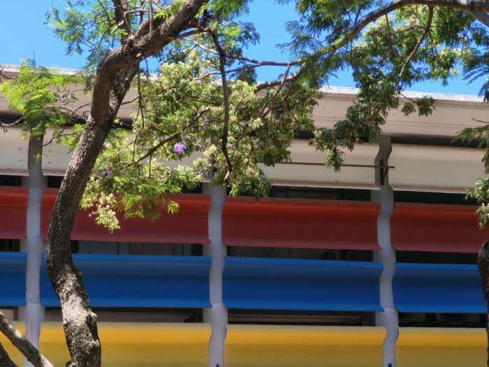  - Museo cerrado por montaje y mantenimiento (14 de julio al 4 de agosto) - Museo Nacional de Artes Visuales