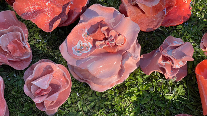  - Visita guiada por la instalación sitio específico "Hongos rosados en los jardines del museo - Adela Casacuberta"  - Museo Nacional de Artes Visuales