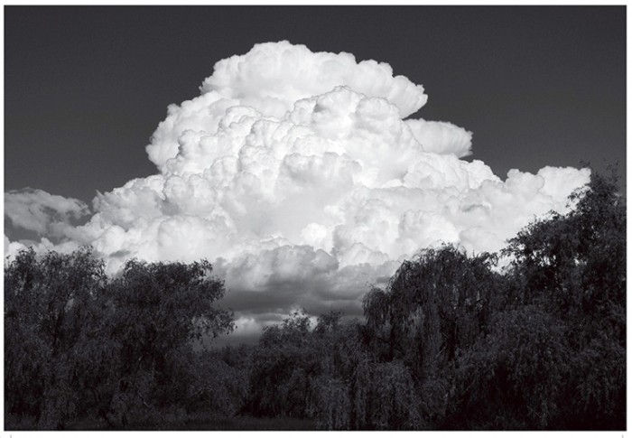Andrés Boero Madrid, Sin título. De la serie Hum, 2017. Captura digital.<br> - Mirada Interna / MUFF Vivencia - Museo Nacional de Artes Visuales