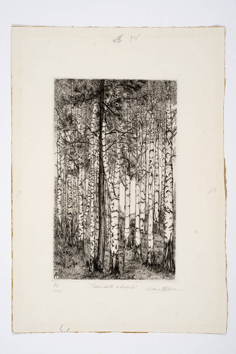 Pista 14 - Horizontal