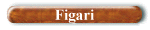 Figari